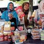 UMKM Harus di Lihat Secara Utuh